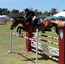 diving and reaching over jump